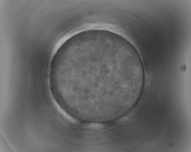 X0000112851525200909181724