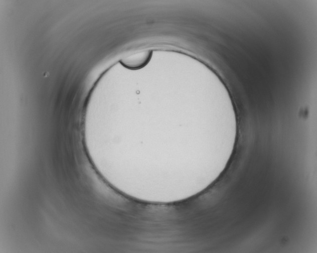 X0000112851526200909181724