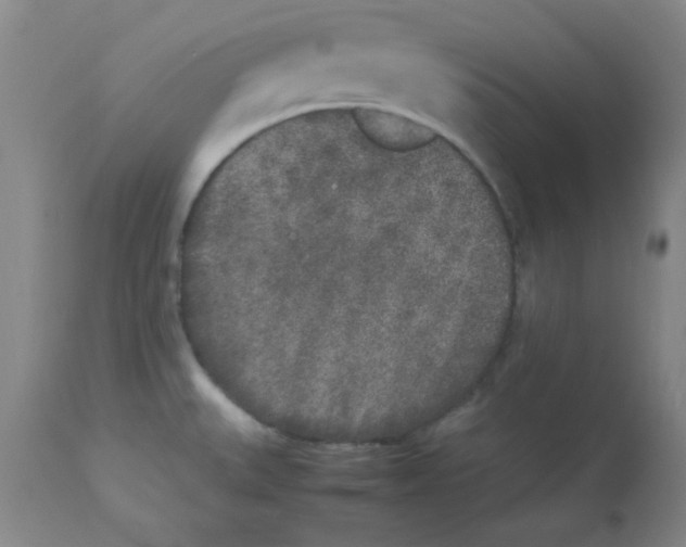 X0000112851527200909181724