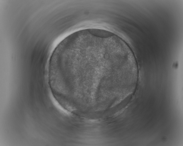 X0000112851528200909181724