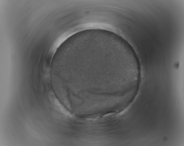 X0000112851529200909181724