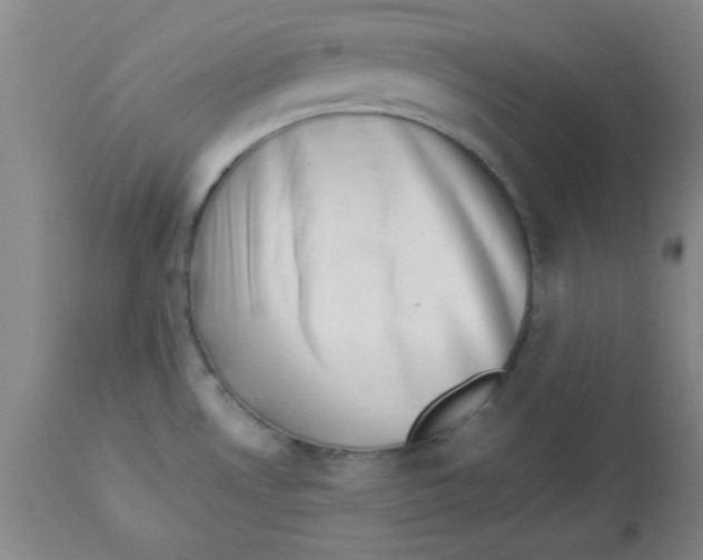 X0000112851530200909181724