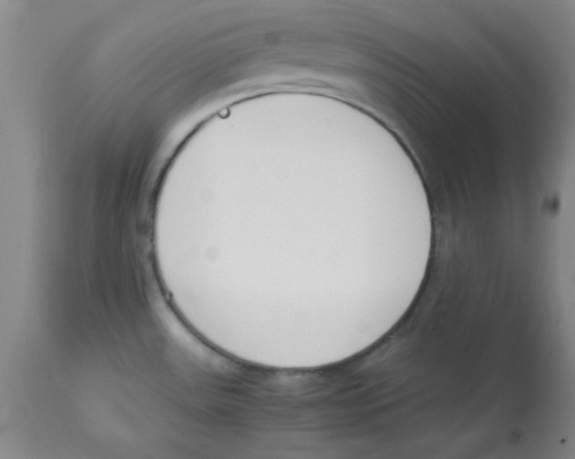 X0000112851531200909181724