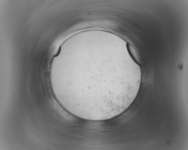 X0000112851532200909181724