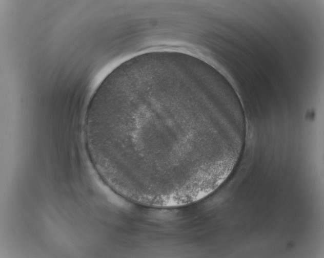 X0000112851533200909181724