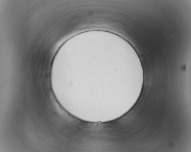 X0000112851534200909181724