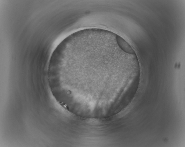 X0000112851536200909181724