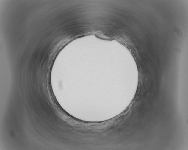 X0000112850001200910021301