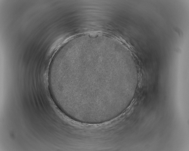 X0000112850002200910021301