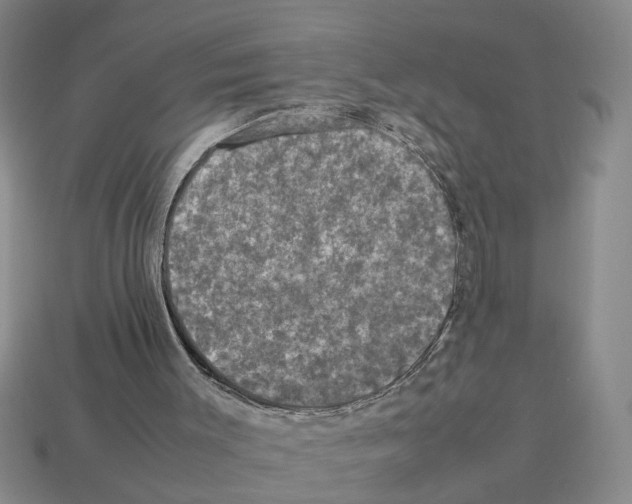 X0000112850003200910021301