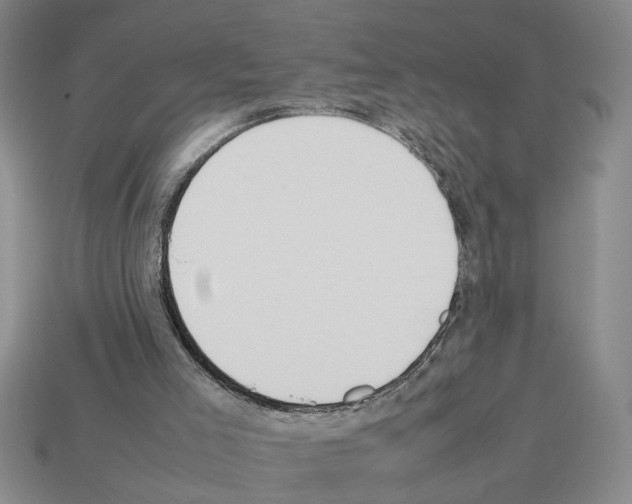 X0000112850005200910021301