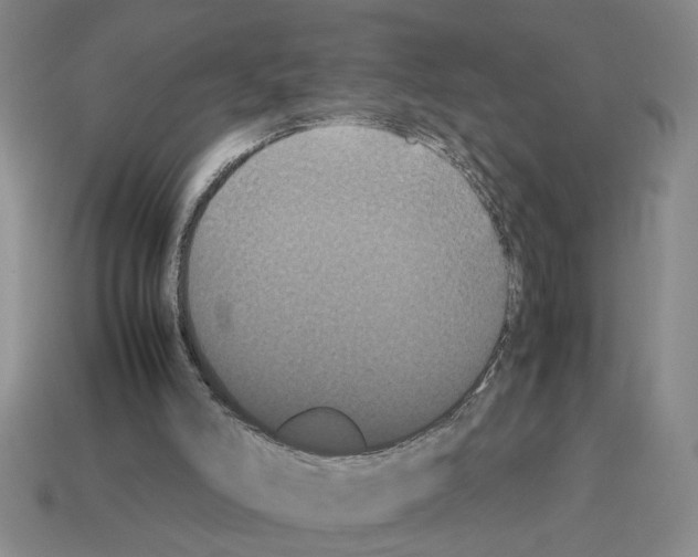 X0000112850006200910021301