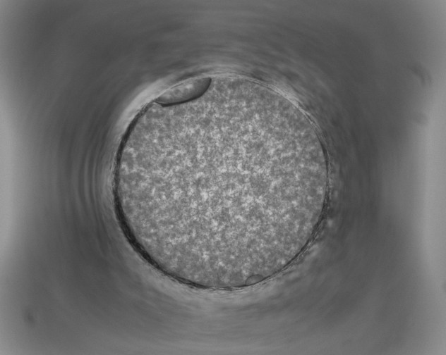 X0000112850007200910021301