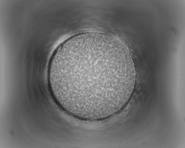 X0000112850008200910021301