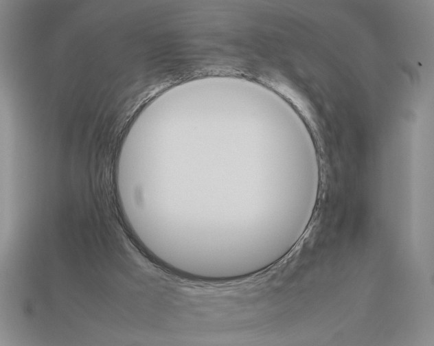 X0000112850009200910021301