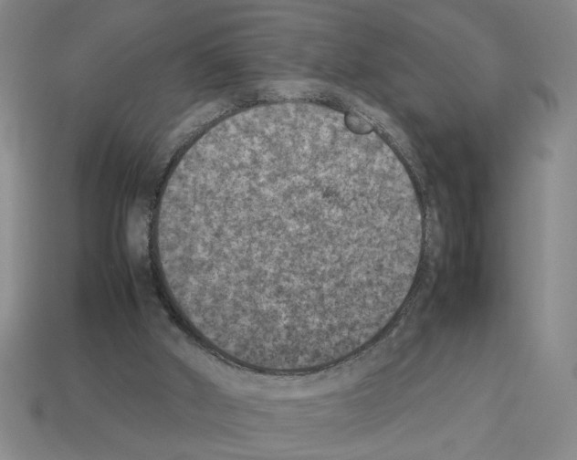 X0000112850010200910021301