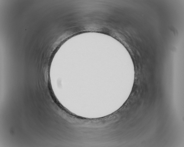 X0000112850011200910021301