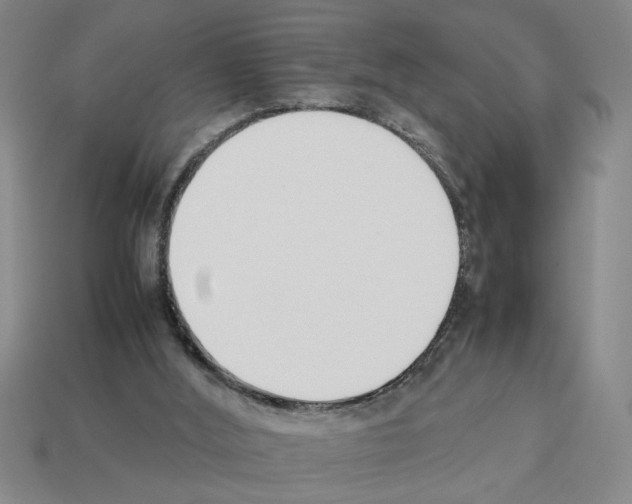 X0000112850012200910021301