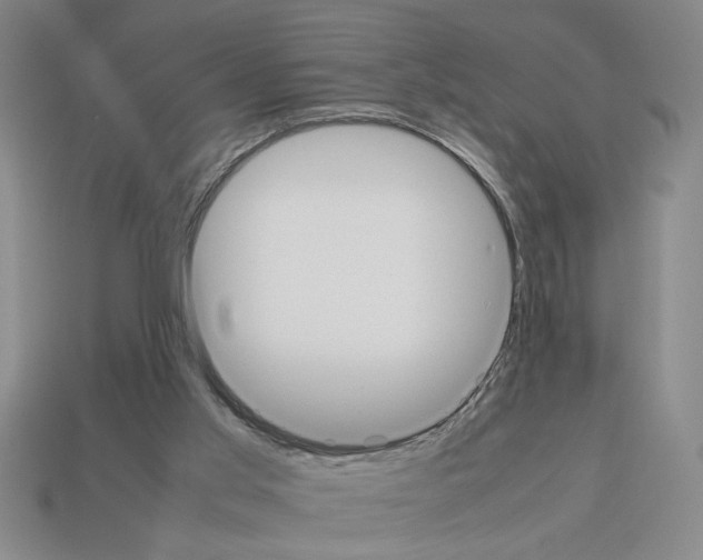 X0000112850013200910021300