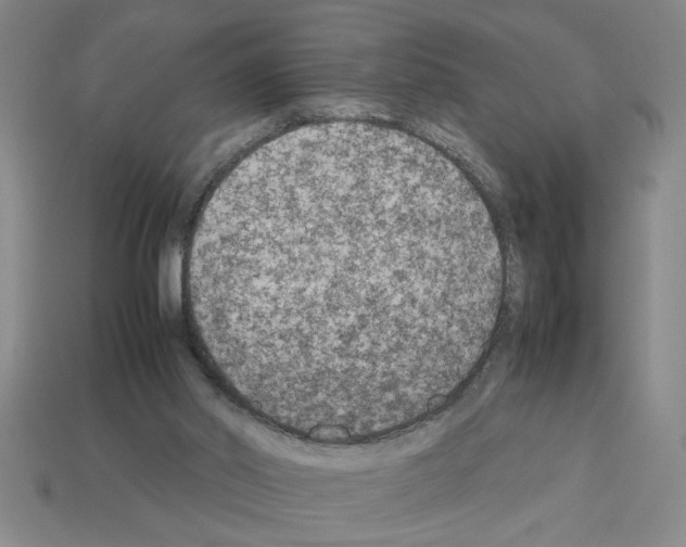 X0000112850014200910021300