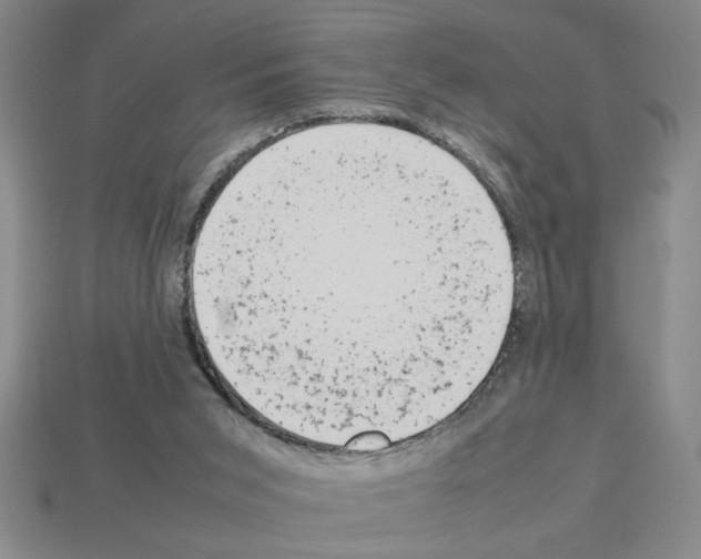 X0000112850015200910021300