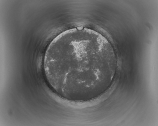 X0000112850018200910021300