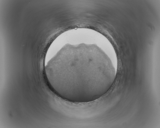 X0000112850019200910021300