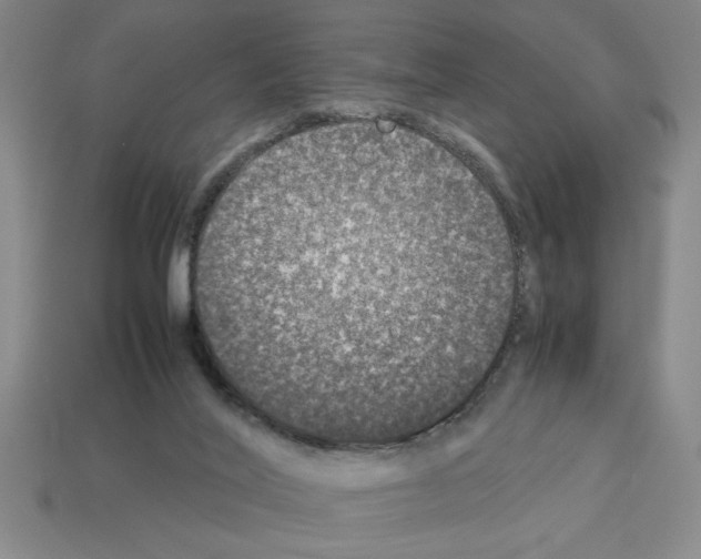 X0000112850020200910021300