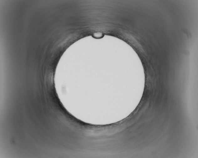 X0000112850021200910021300