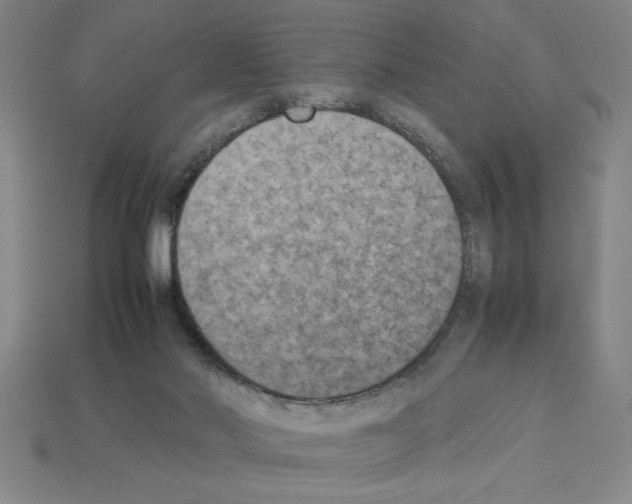 X0000112850022200910021300