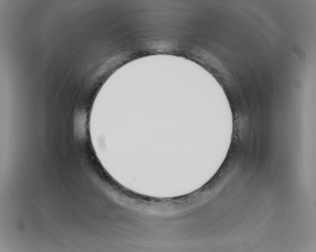 X0000112850024200910021300