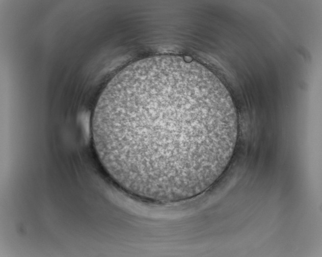 X0000112850028200910021300