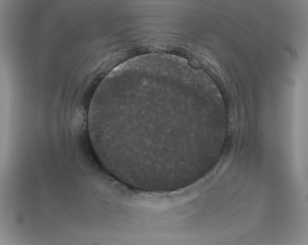 X0000112850029200910021300