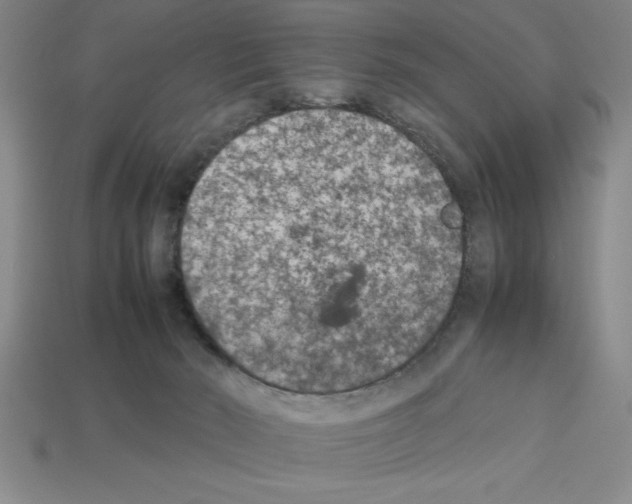 X0000112850030200910021300