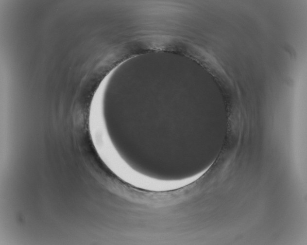 X0000112850031200910021300