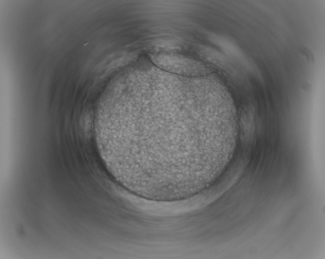 X0000112850034200910021300