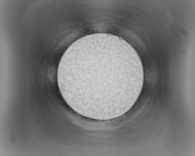 X0000112850036200910021300