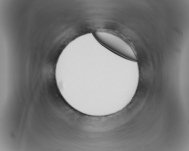 X0000112850037200910021300