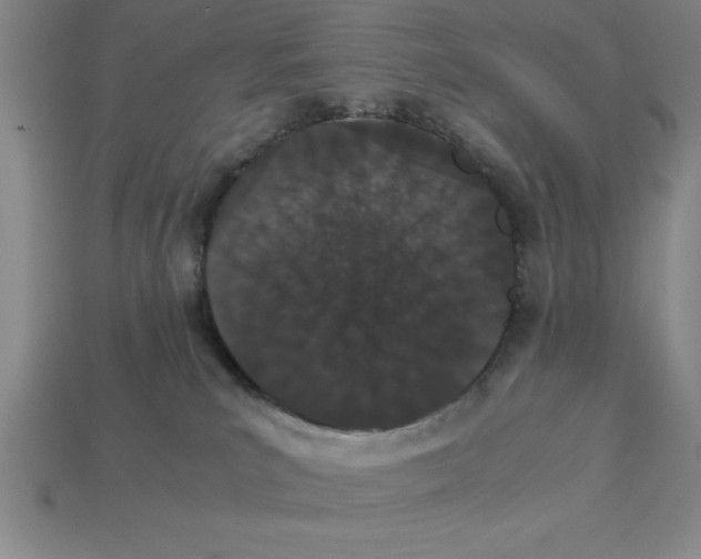 X0000112850039200910021300