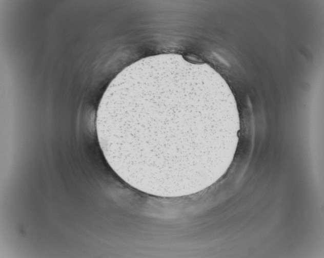 X0000112850041200910021300