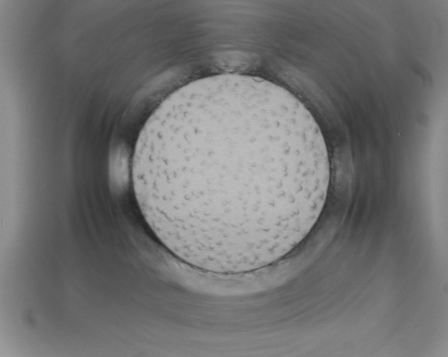 X0000112850042200910021300