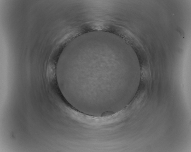 X0000112850043200910021300