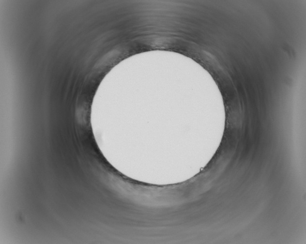 X0000112850044200910021300