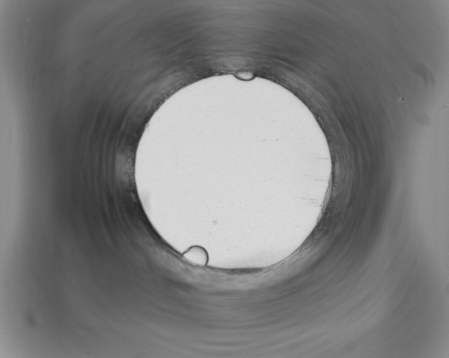 X0000112850048200910021300