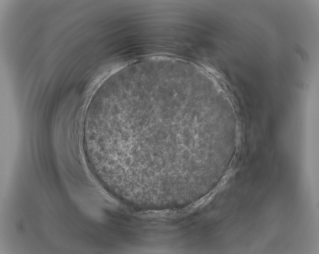 X0000112850049200910021259