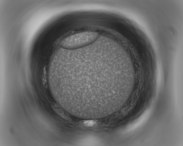 X0000112850050200910021259