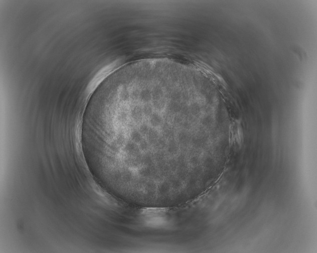 X0000112850051200910021259