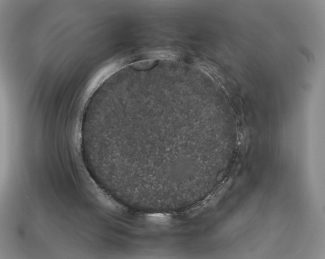 X0000112850053200910021259