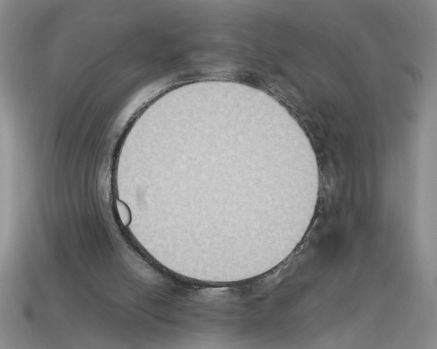 X0000112850054200910021259