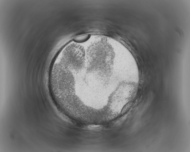 X0000112850055200910021259